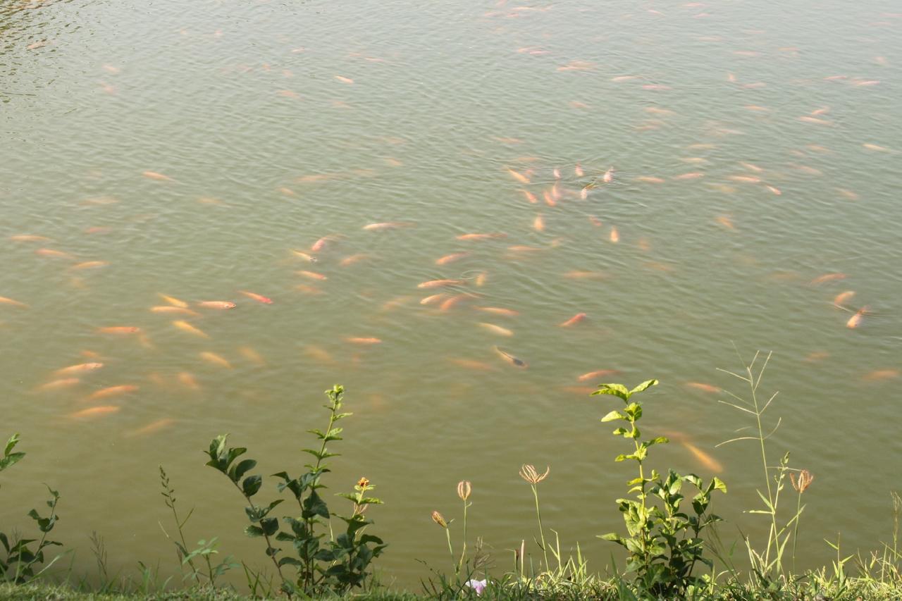 Menam Resort Nakhon Pathom Exteriér fotografie